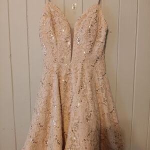 Speechless Blush Sequin Lace Dress